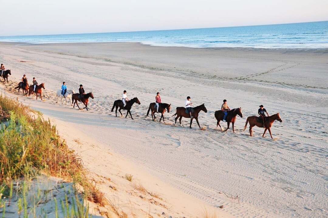 Horse riding