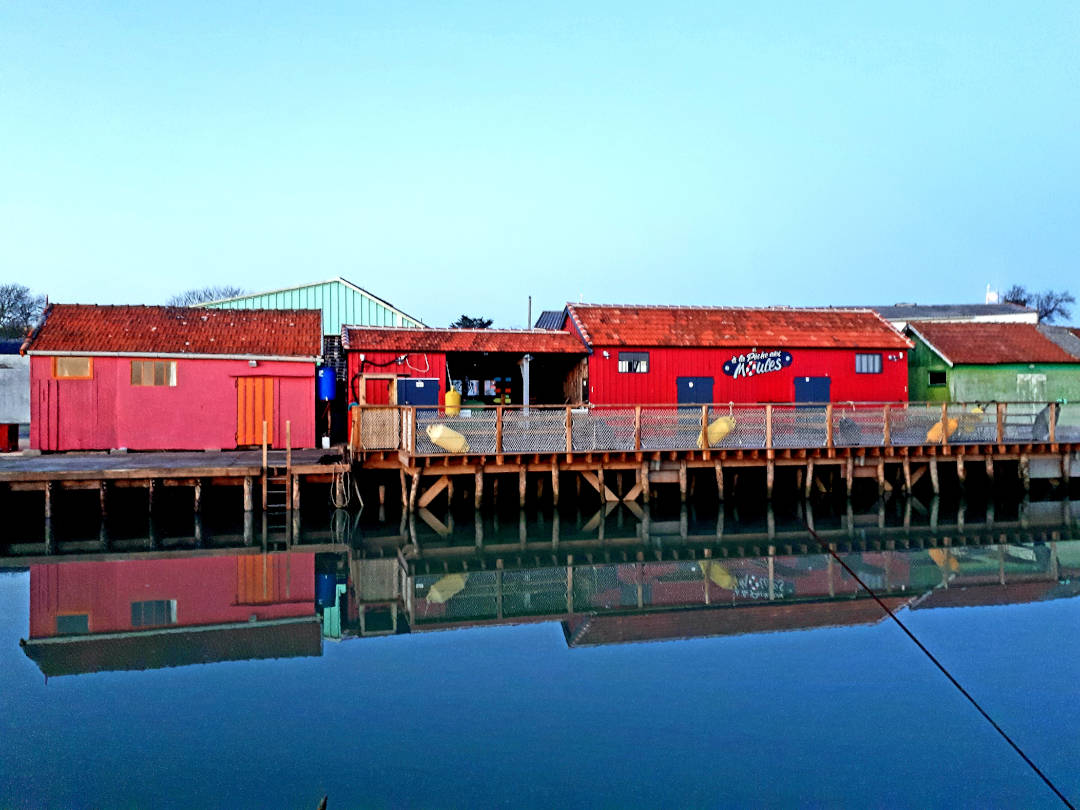 Oyster Huts