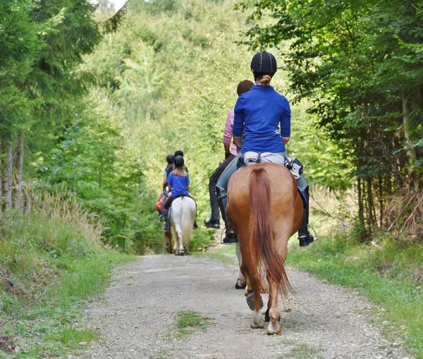 Équitation île d'Oléron