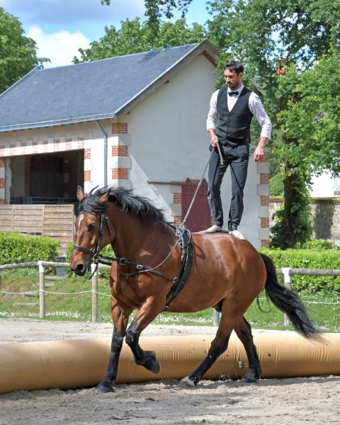 équitation île d’Oléron