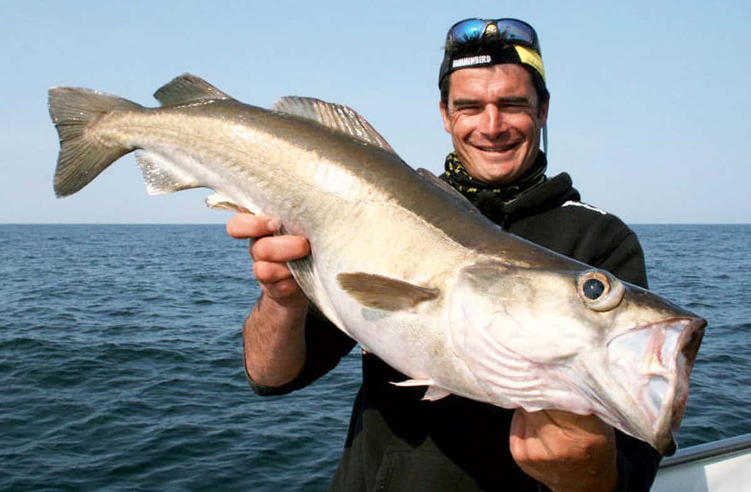 Sortie pêche en mer