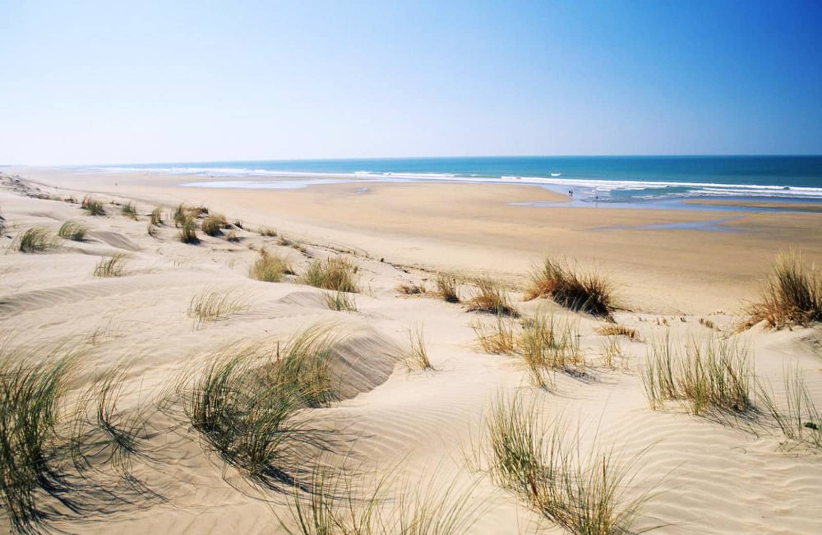 plage gatseau pointe maumusson saint trojan les bains ile oleron dune