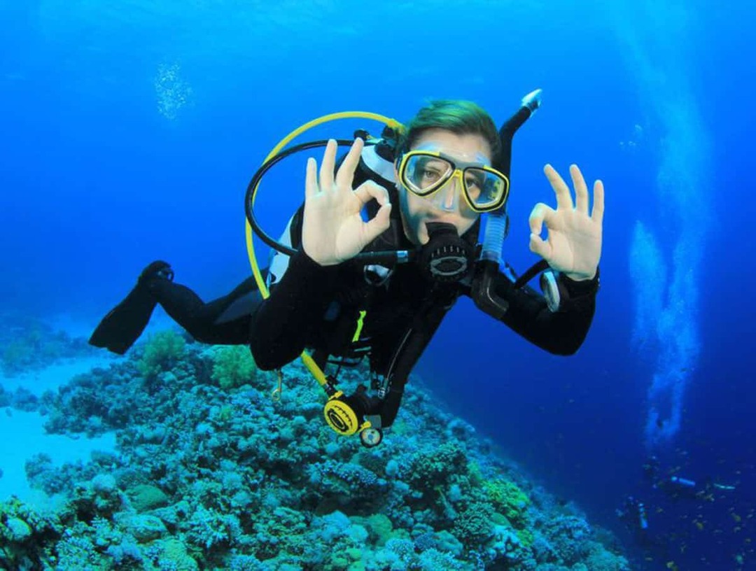 Plongeon sous la mer