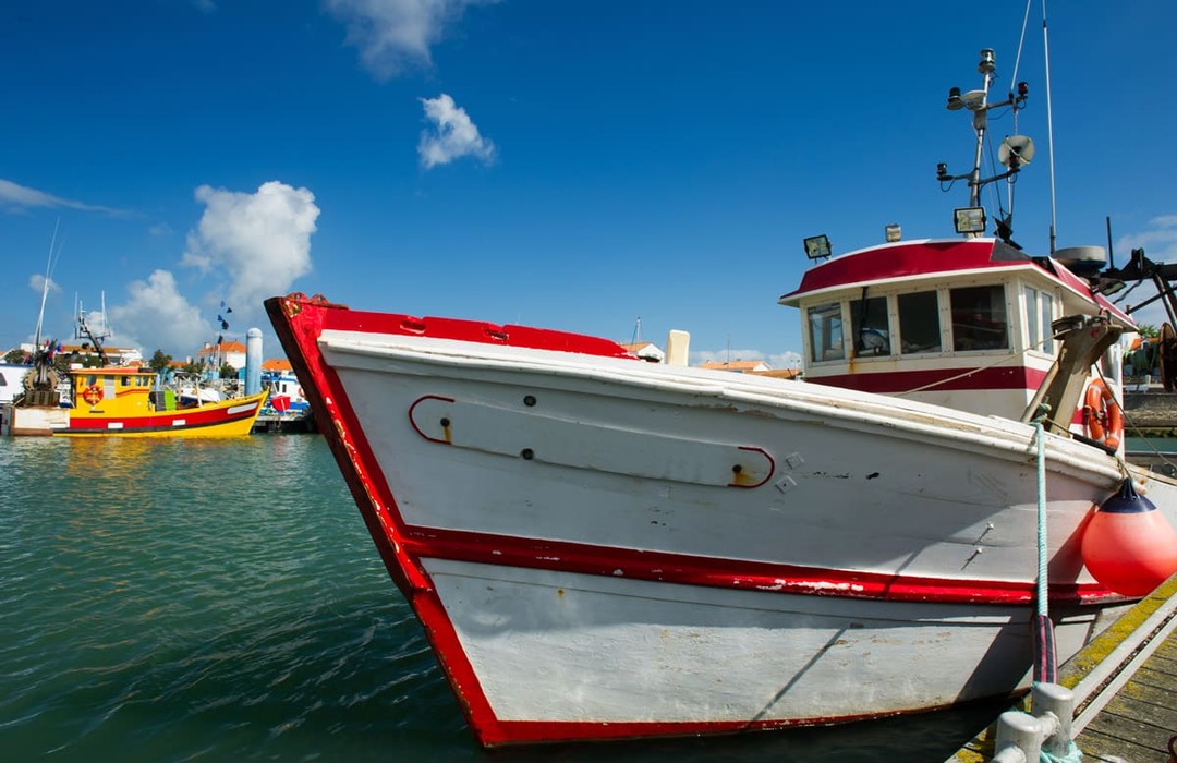 Port de la cotinière