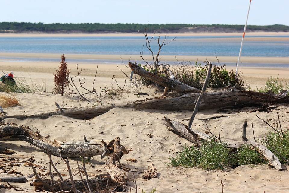 Sandy beaches Oléron