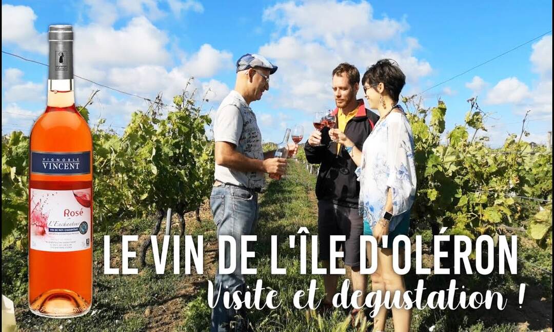 visite domaines viticoles